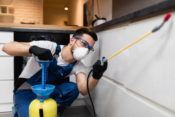 Best Pest Inspection Near Me  in Burlington, WI