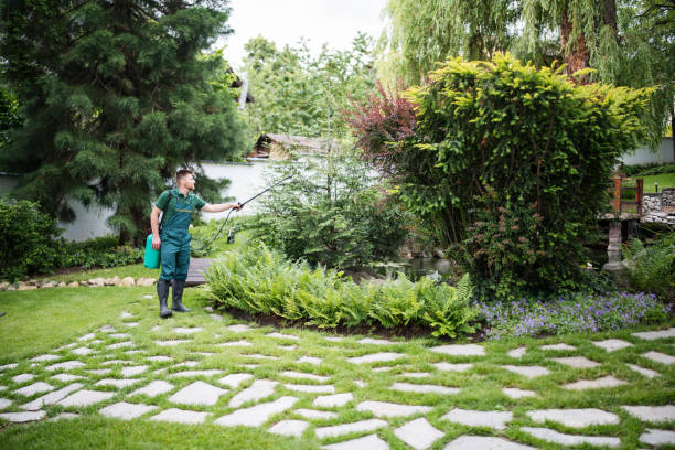 Best Emergency Pest Control  in Burlington, WI