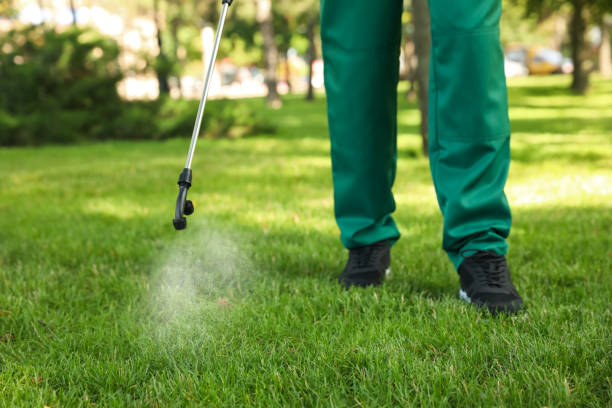Best Best Pest Control Companies  in Burlington, WI
