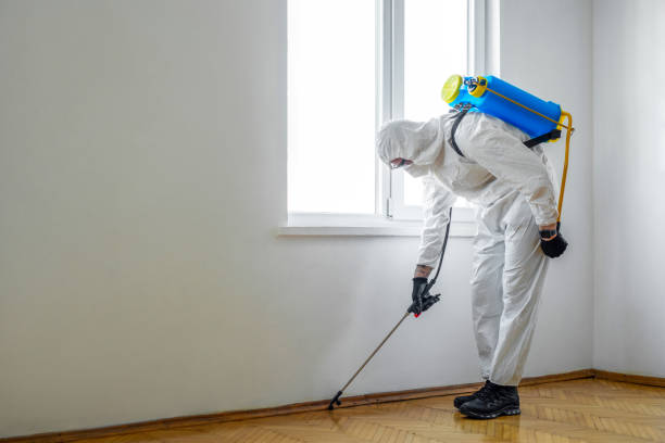 Reliable Burlington, WI Pest Control Solutions
