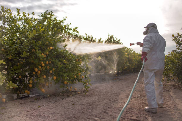 Best Exterminator Services  in Burlington, WI