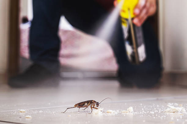 Best Pest Inspection Near Me  in Burlington, WI
