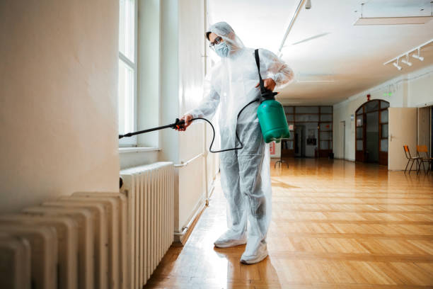 Best Ant Control Services  in Burlington, WI