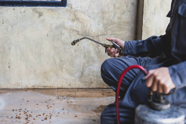 Best Best Pest Control Near Me  in Burlington, WI