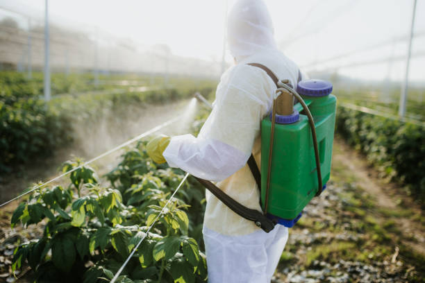 Best Pest Prevention Services  in Burlington, WI